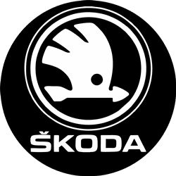 skoda - шкода